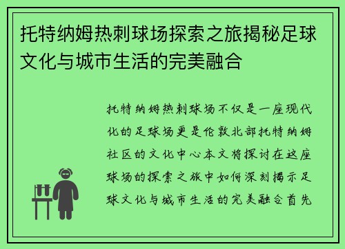 托特纳姆热刺球场探索之旅揭秘足球文化与城市生活的完美融合